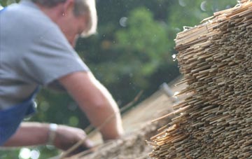 professional Etruria thatchers